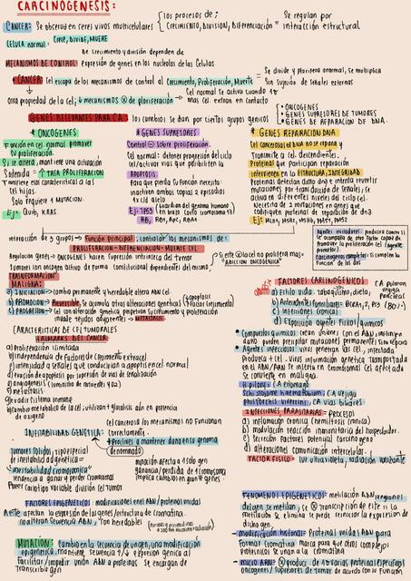 Carcinogénesis y Genes Supresores de Tumores