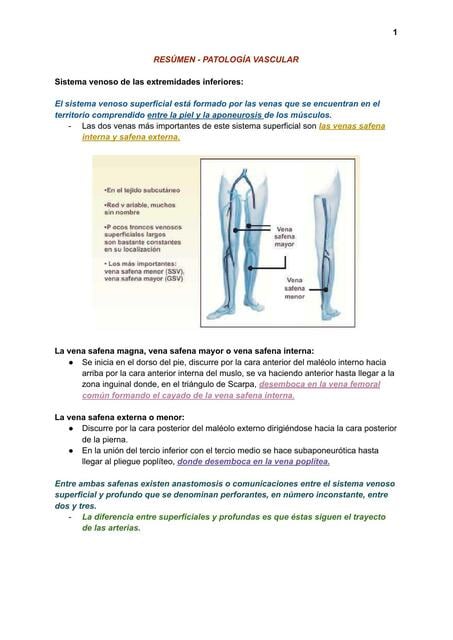 Vascular Rarea Resumen- Patología Vascular | Zamira López | uDocz