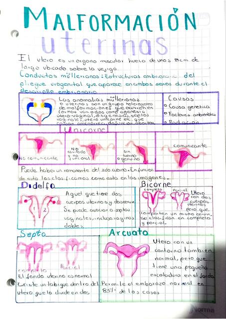 Malformaciones uterinas