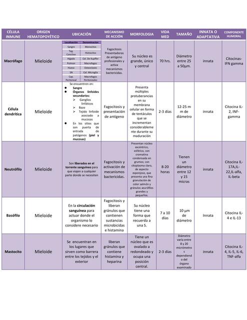 Células del Sistema Inmune