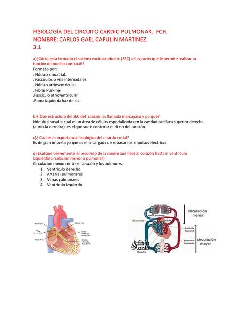 Circuito cardiopulmonar