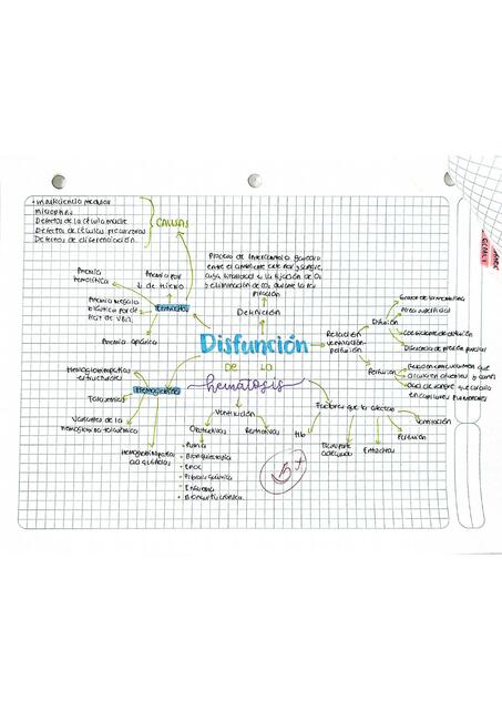 Disfunción de la Hematosis