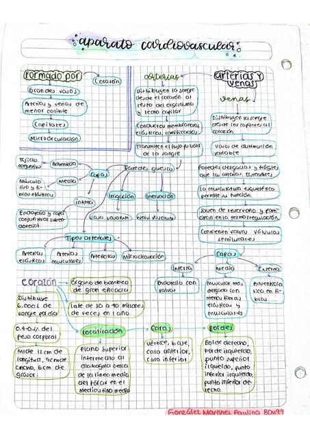 Aparato Cardiovascular