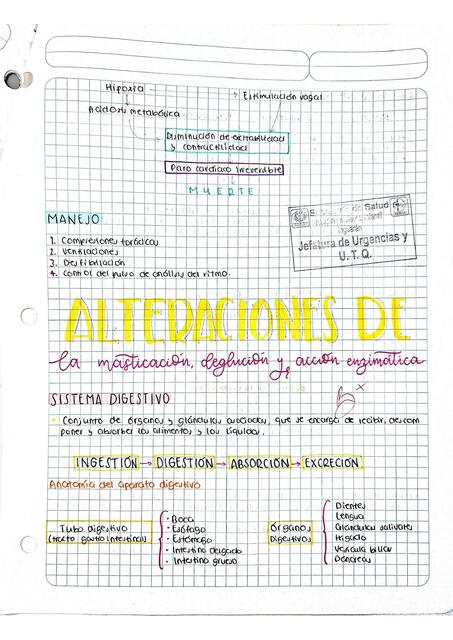 Alteraciones de la Masticación, Deglución y Acción Enzimática