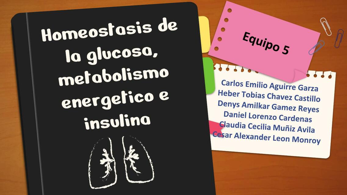 Homeostasis de la Glucosa, Metabolismo Energético e Insulina