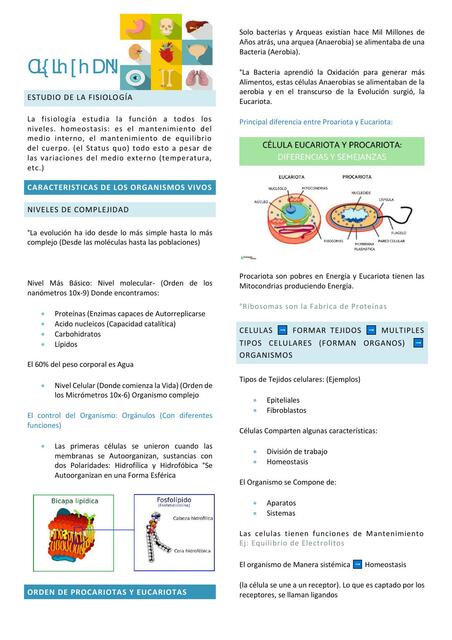 Fisiología 