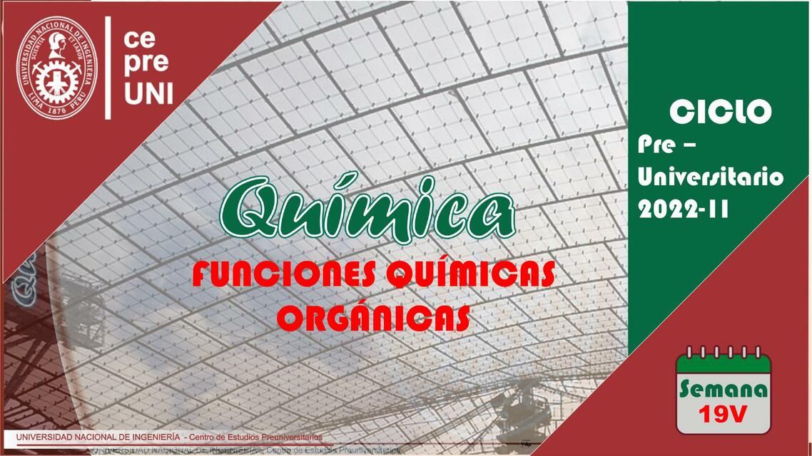 Funciones Químicas Orgánicas 