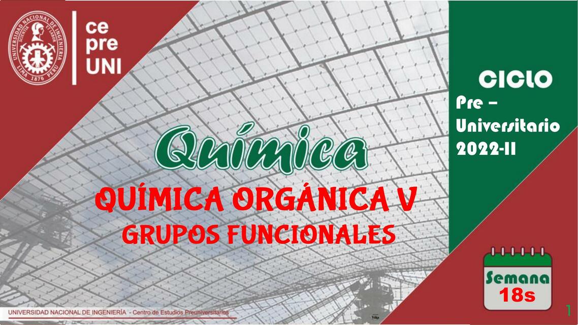 Química Orgánica V Grupos Funcionales 