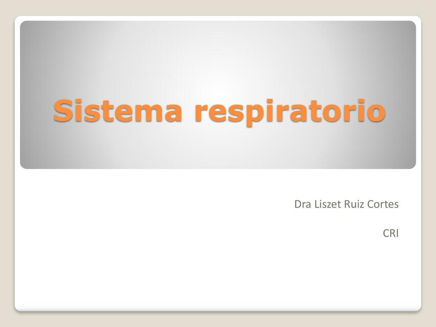 Sistema respiratorio