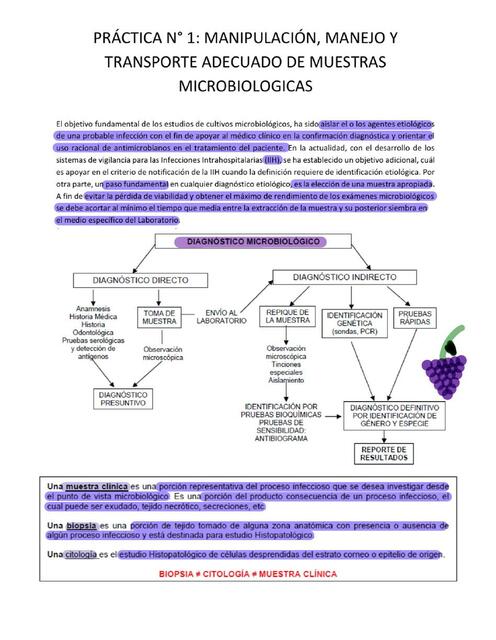 Manipulación manejo y transporte adecuado de muestras microbiologicas 