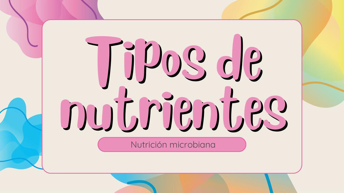 Tipos de Nutrientes 