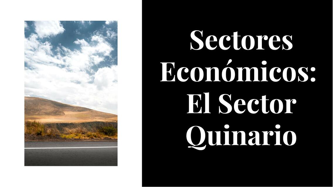 Sectores económicos el sector quinario