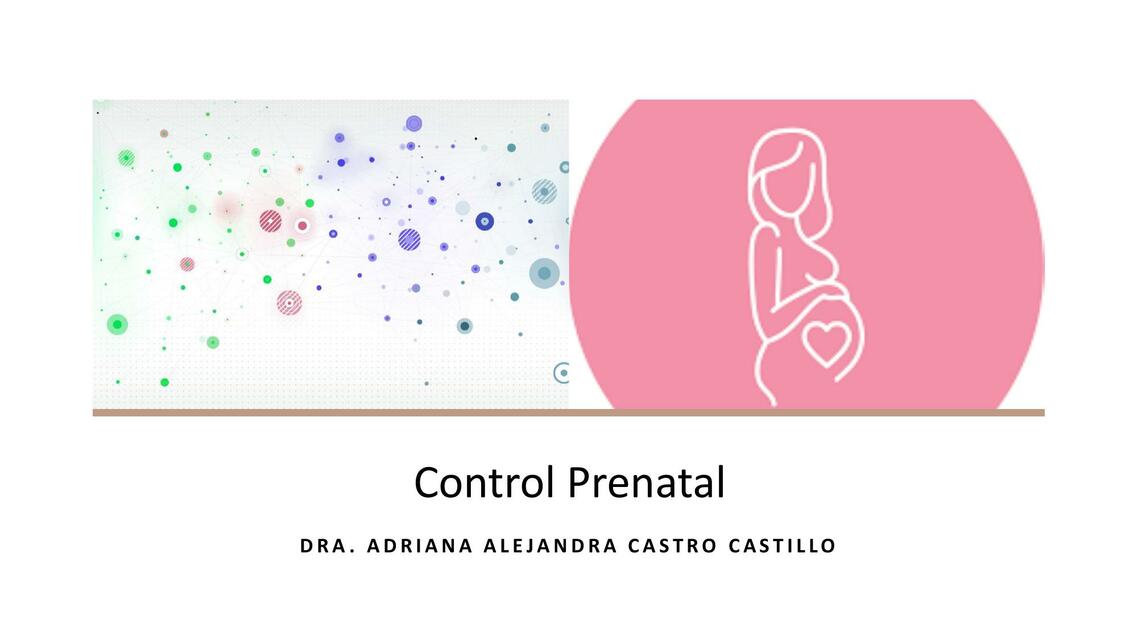 Control Prenatal 