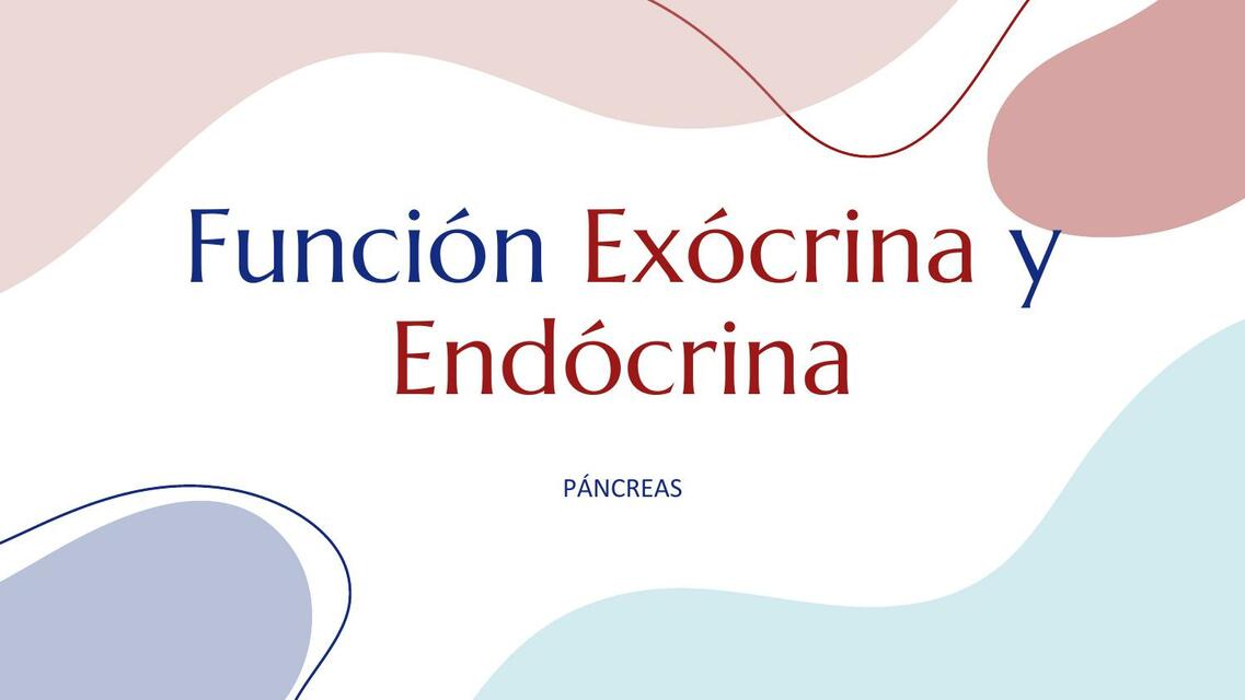 Funcion endocrina y exocrina pancreas angeles udocz