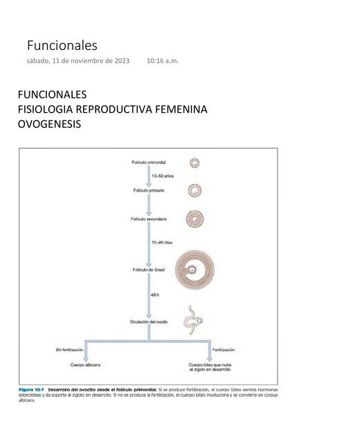 Funcionales