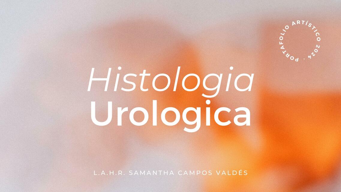 Histología Urológica 