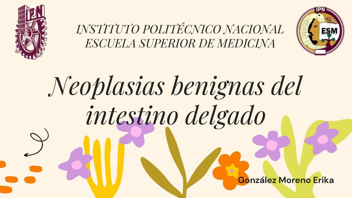 Neoplasias Benignas del Intestino Delgado 