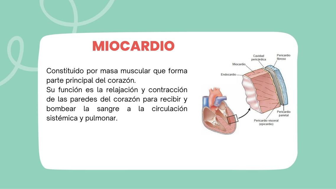 Miocardio 