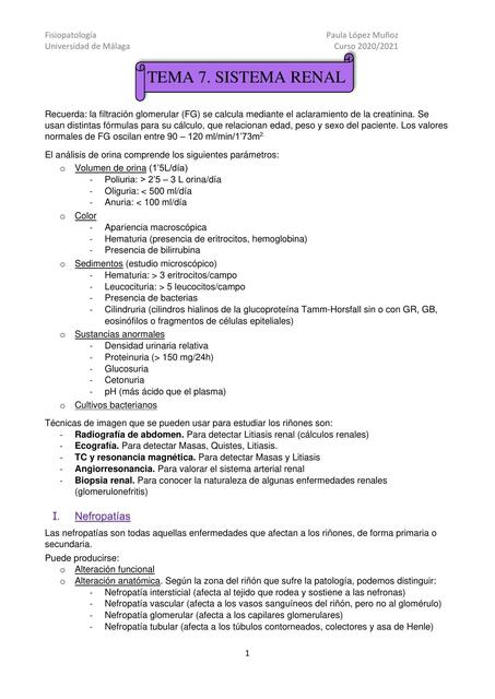 Fisiopatología del Sistema renal