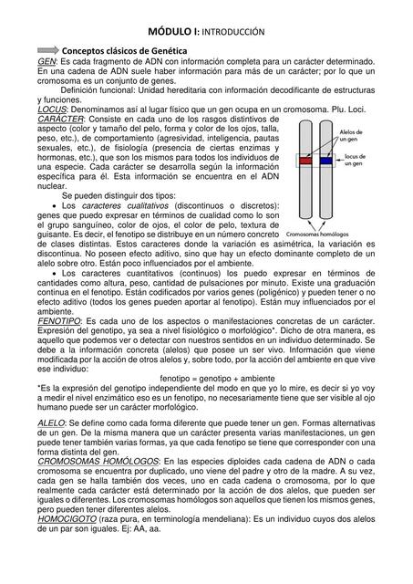 MÓDULO I: Concepos básicos de Genética. Variabilidad genética. Epigenética.