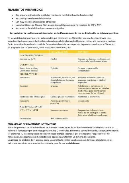 Citoesqueleto [2/3]: Filamentos Intermedios (resumen)