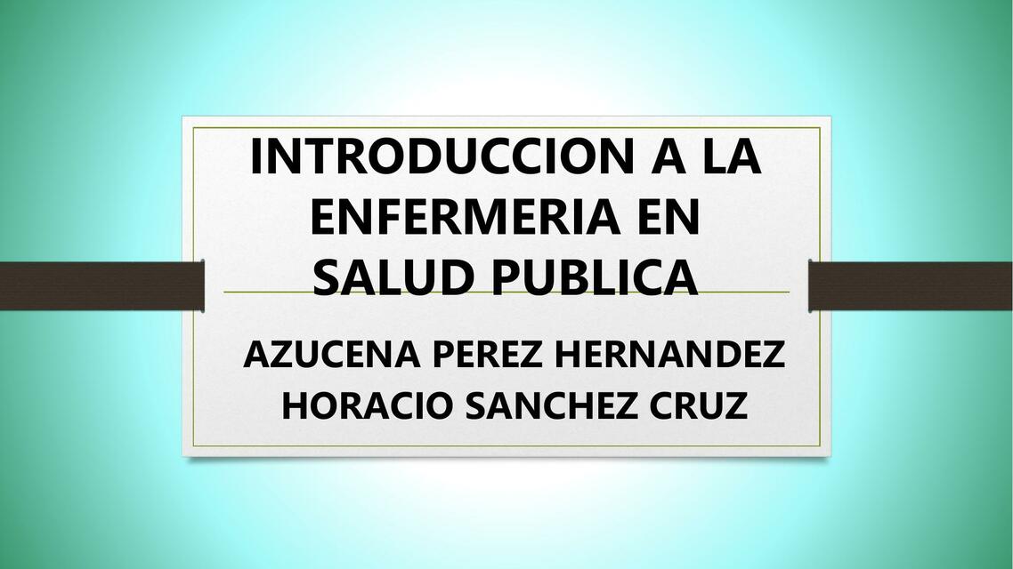 Introducción a la Enfermería en Salud Pública 