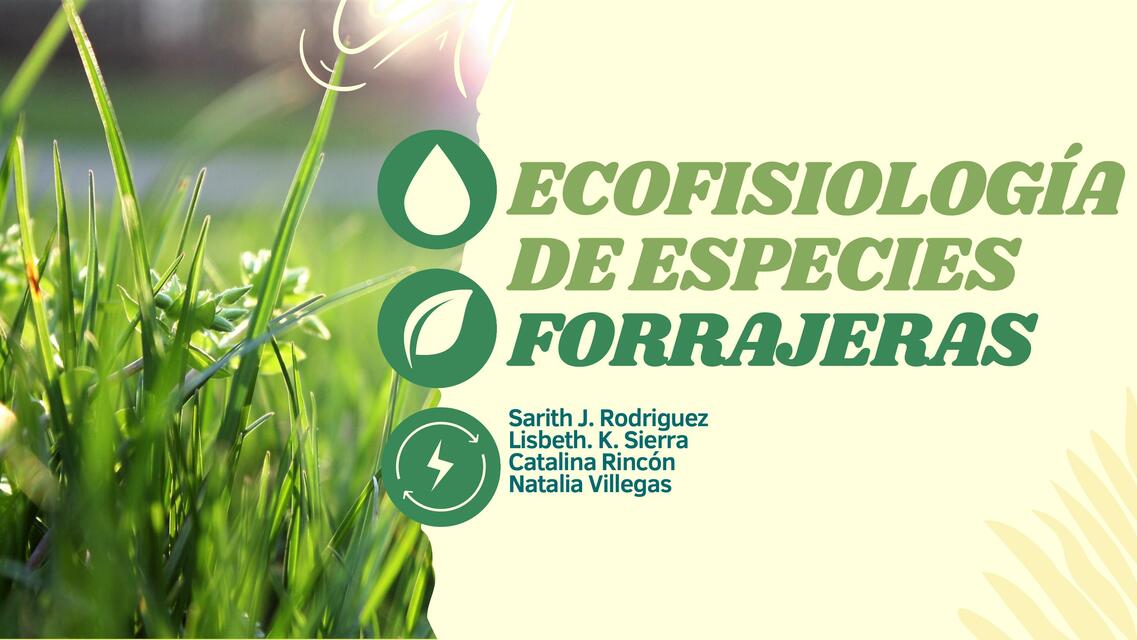 Ecofisiología especies forrajeras