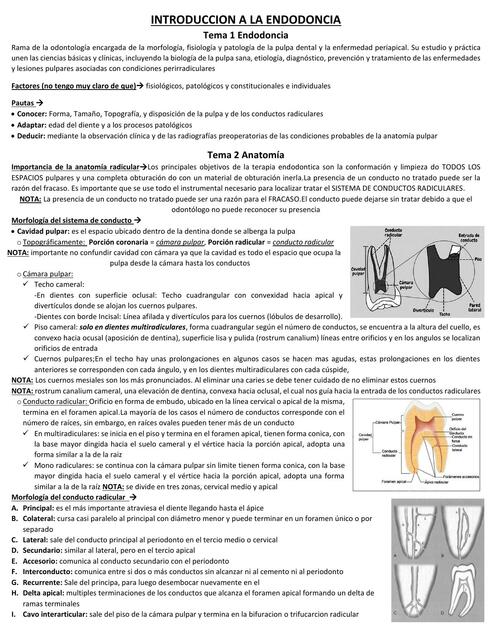 Introducción a la Endodoncia 