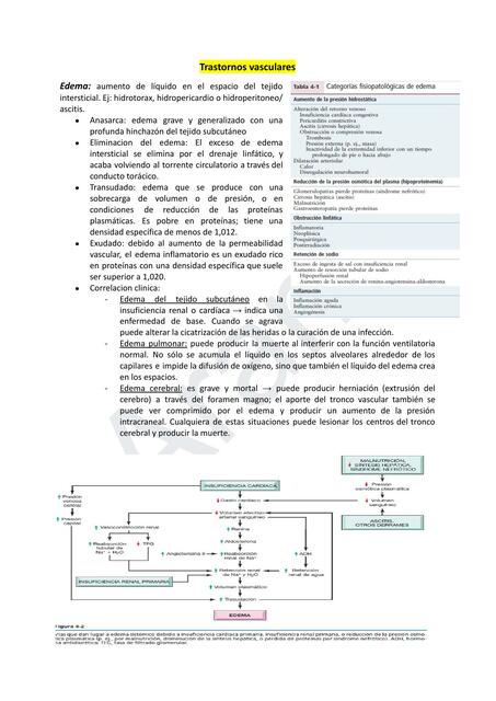 Trastornos Vasculares 