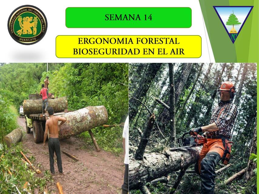 Ergonomia forestal bioseguridad en el air | Evelyn Montes Valdez | uDocz