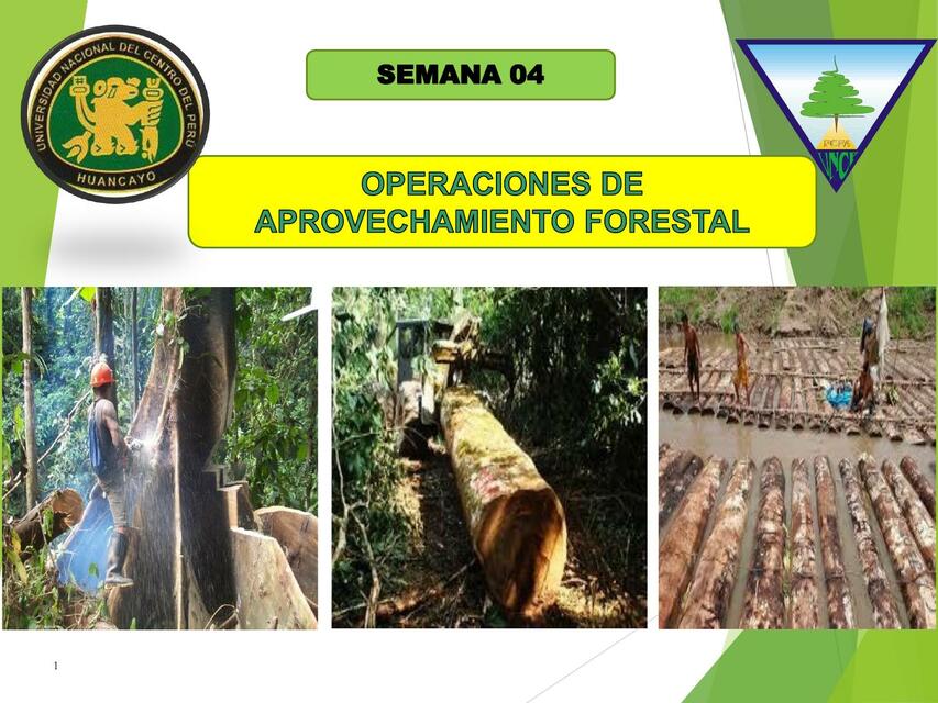 Operaciones de aprovechamiento forestal Evelyn Montes Valdez uDocz Operaciones de aprovechamiento forestal Evelyn Montes Valdez uDocz