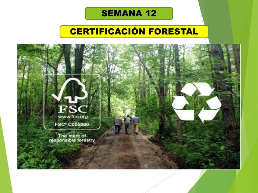 Certificación forestal | Evelyn Montes Valdez | uDocz