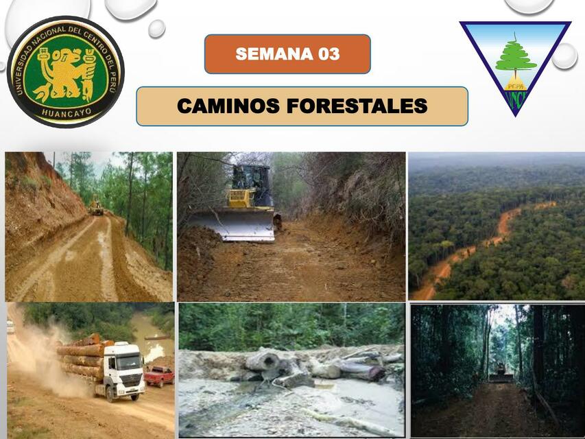 Caminos forestales | Evelyn Montes Valdez | uDocz