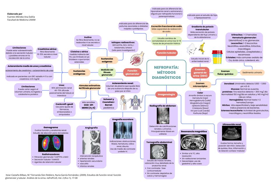 Estudios de función renal