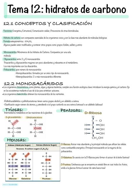 Bioquímica hidratos de carbono