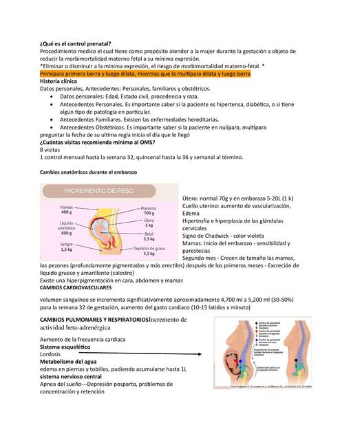 ¿Qué es el control prenatal?