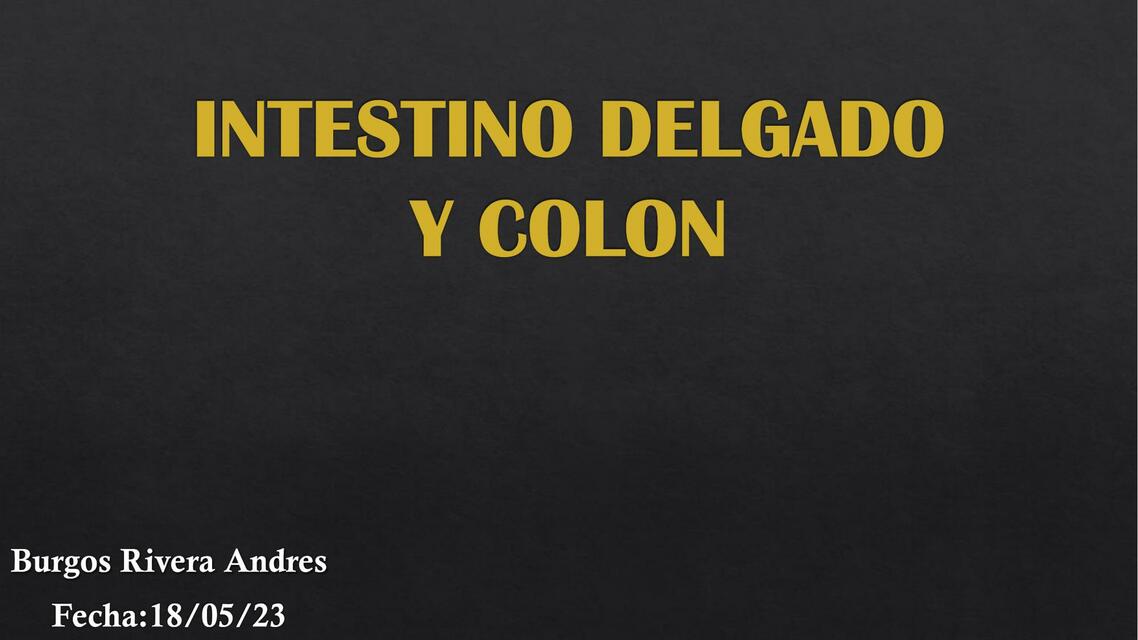 Intestino Delgado y Colon 