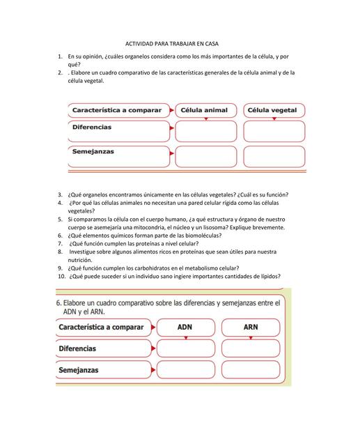 Actividad de Biología