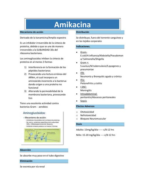 Amikacina