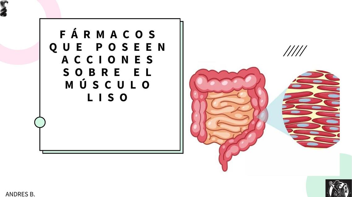 Fármacos que poseen acciones sobre el músculo liso  