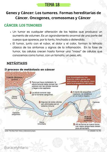 GENES Y CANCER TUMORES ONCOGENES