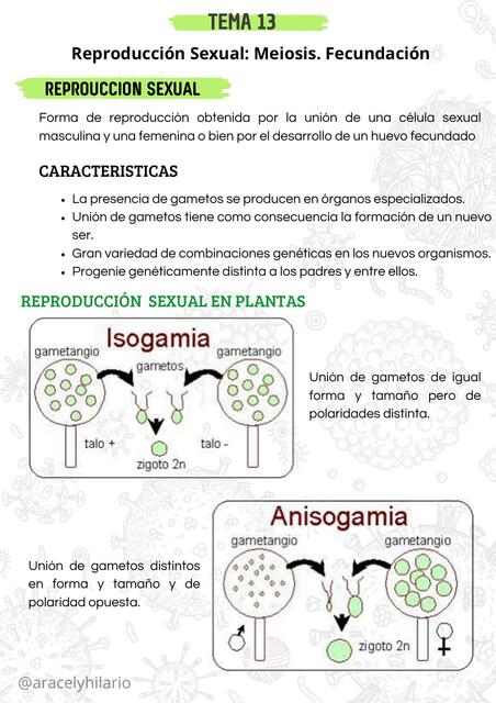 Reproducción sexual meiosis fecundación