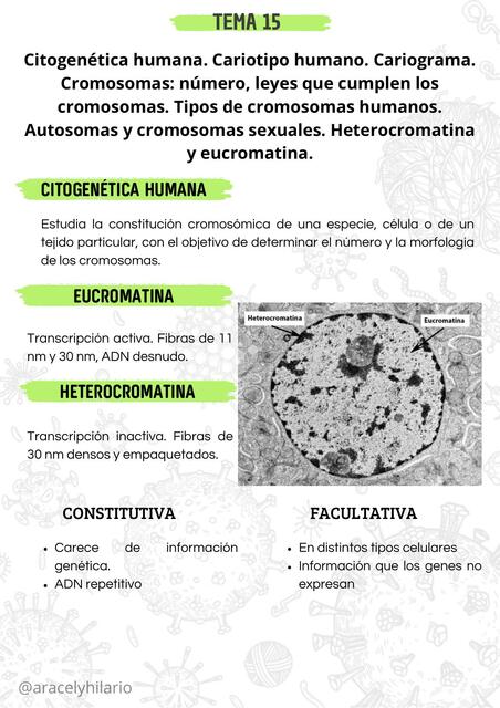 CITOGENETICA HUMANA CARIOTIPO HUMANO