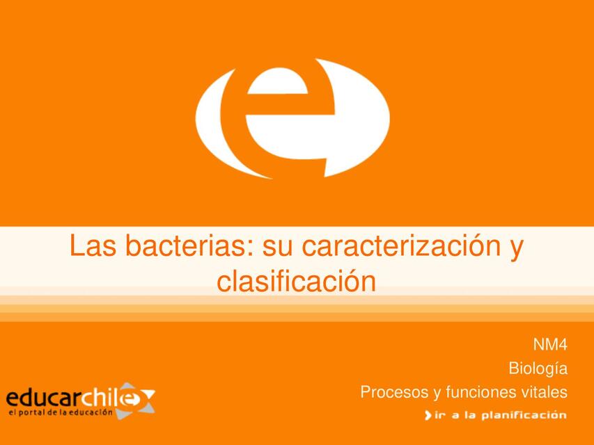 Las bacterias: su caracterización y clasificación 