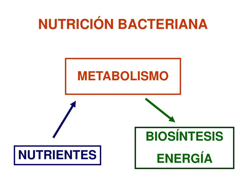 Metabolismo Bacteriana 