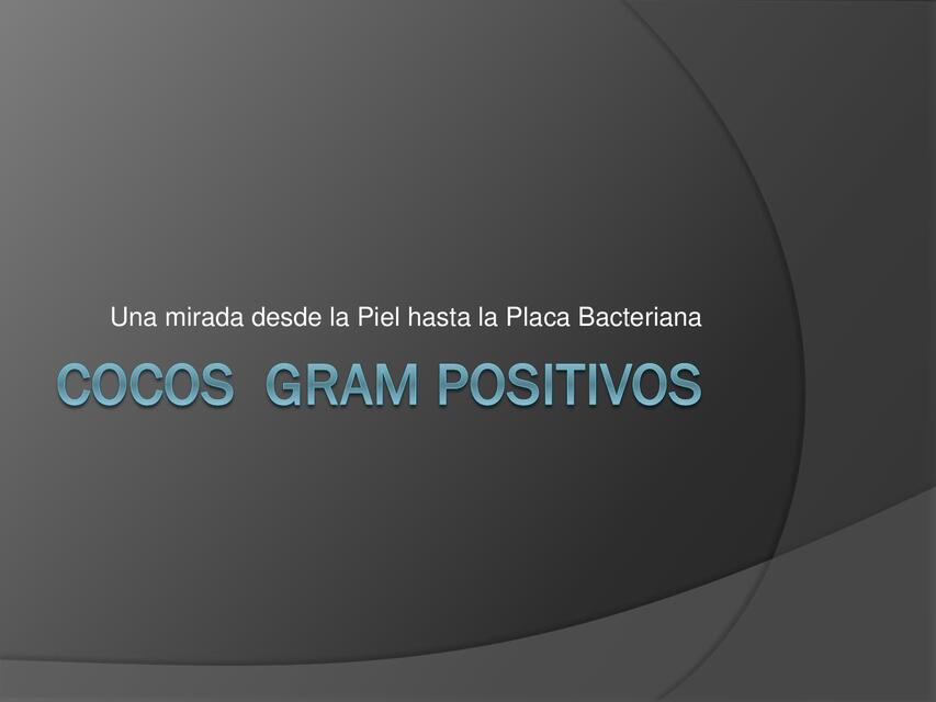 Cocos gram positivos  