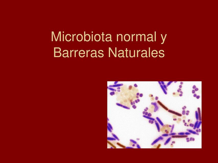 Microbiota normal y Barreras Naturales 