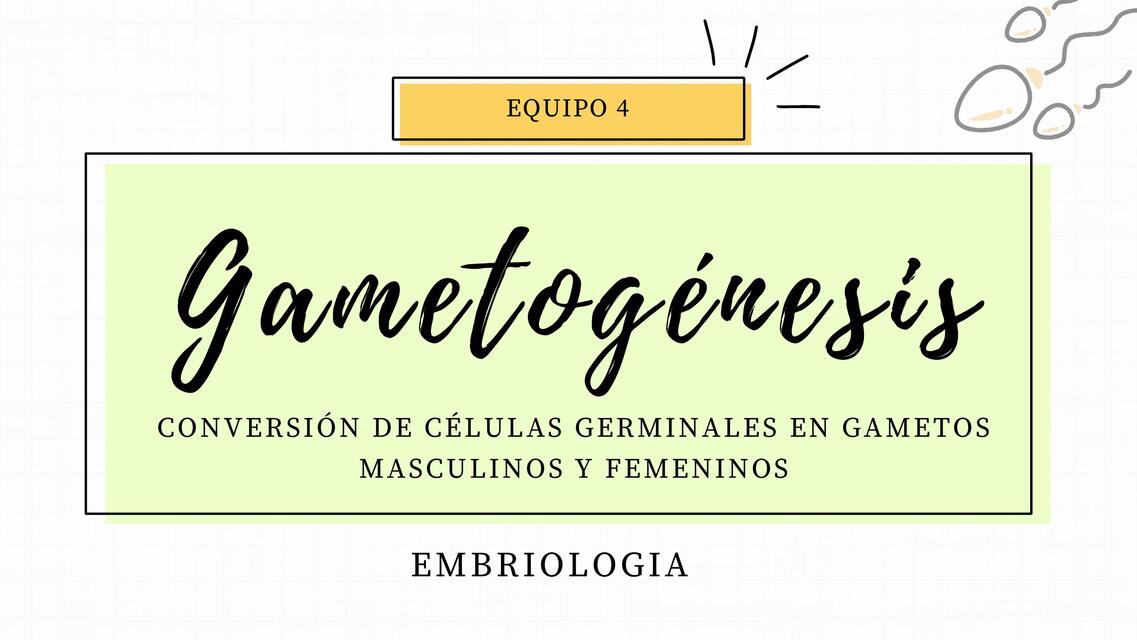 Gametogénesis