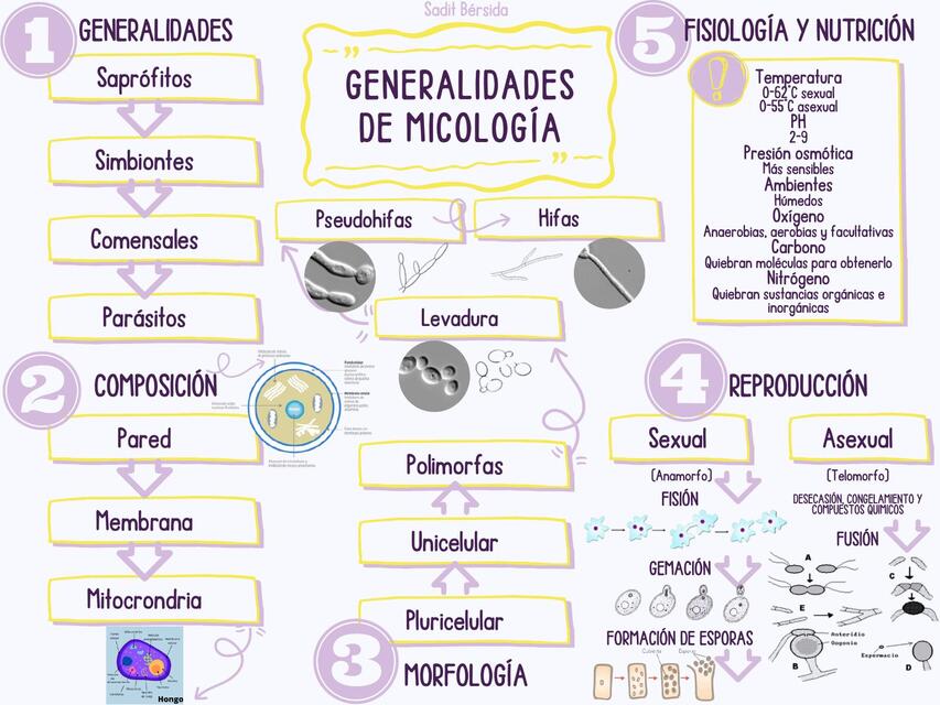 Generalidades de micología