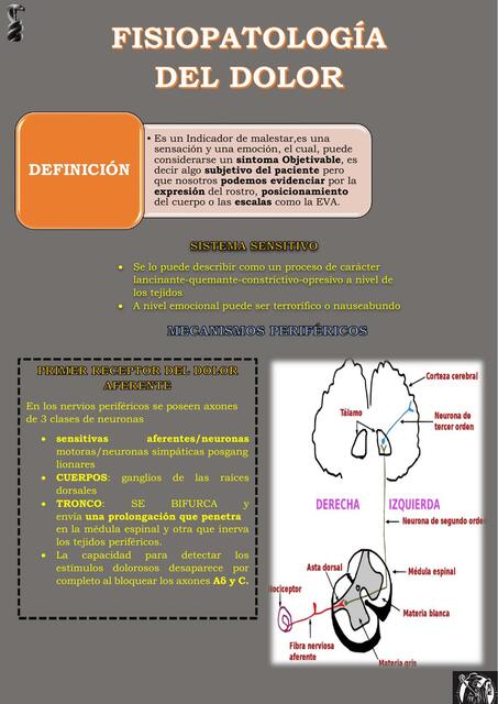 Fisiopatología del Dolor 